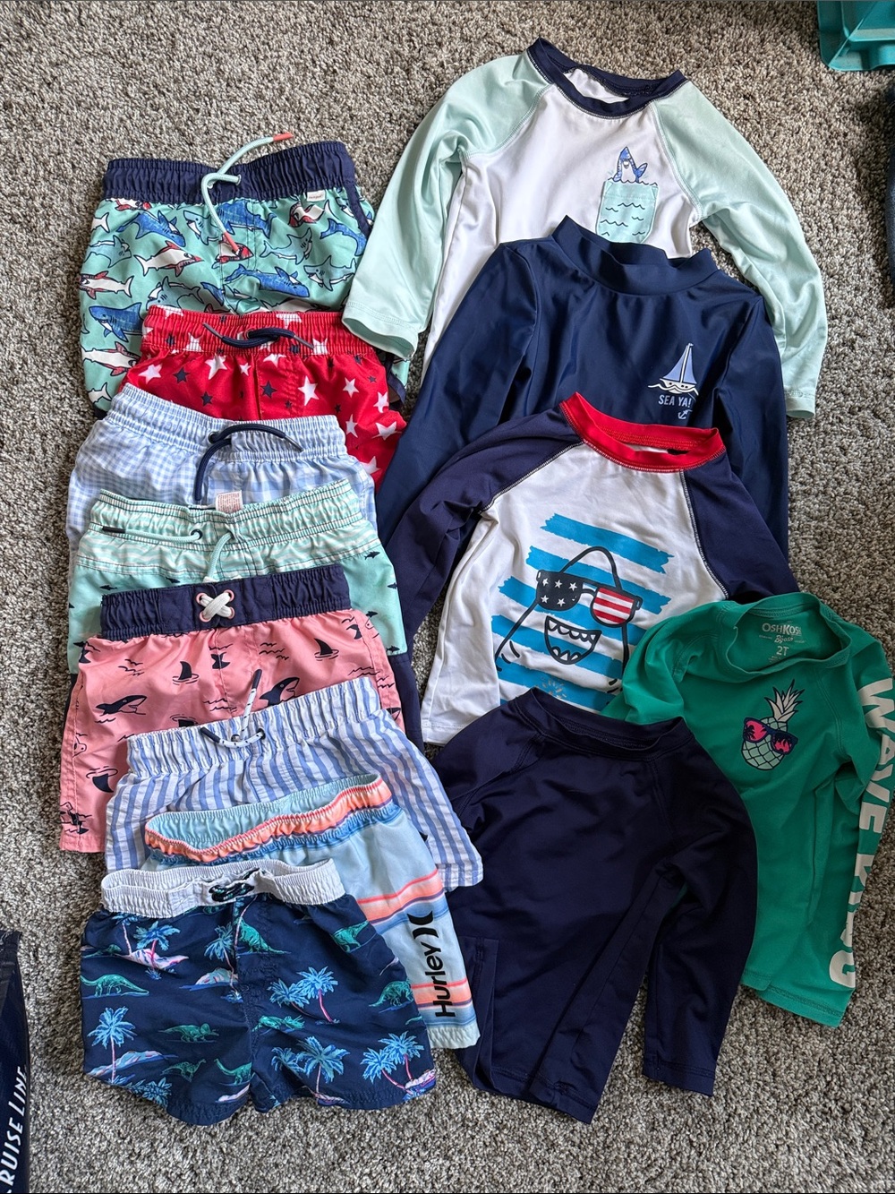 Toddler Boys Swim Lot 2T